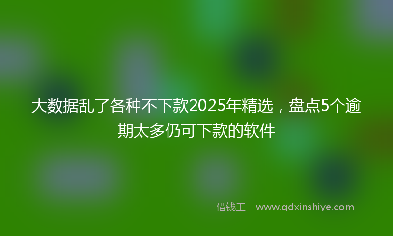 大数据乱了各种不下款2025年精选，盘点5个逾期太多仍可下款的软件
