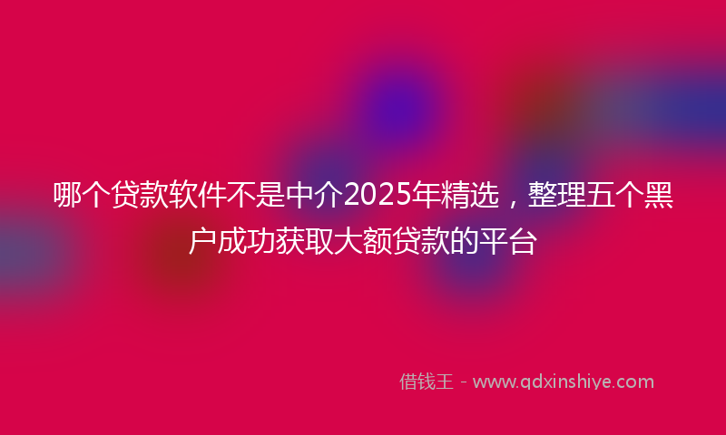 哪个贷款软件不是中介2025年精选，整理五个黑户成功获取大额贷款的平台