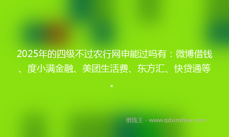 2025年的四级不过农行网申能过吗有：微博借钱、度小满金融、美团生活费、东方汇、快贷通等。