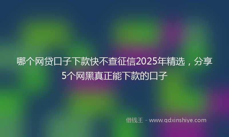 哪个网贷口子下款快不查征信2025年精选，分享5个网黑真正能下款的口子