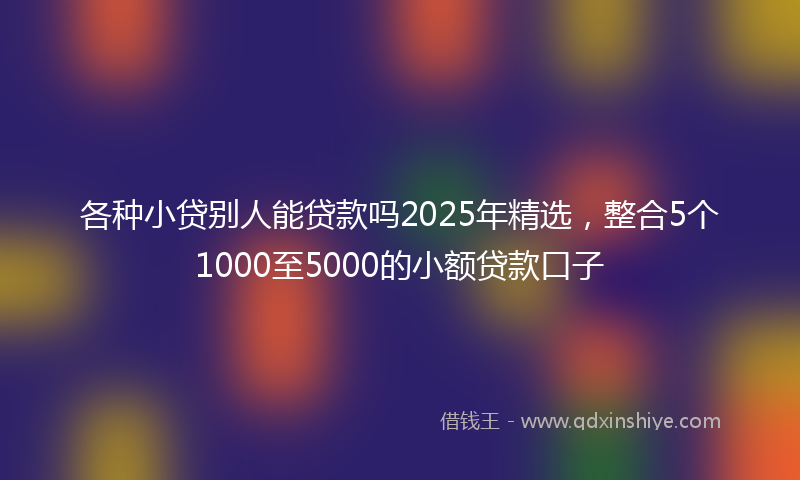 各种小贷别人能贷款吗2025年精选，整合5个1000至5000的小额贷款口子