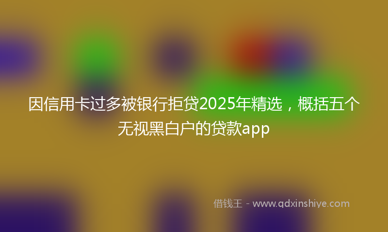 因信用卡过多被银行拒贷2025年精选，概括五个无视黑白户的贷款app