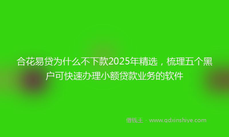 合花易贷为什么不下款2025年精选，梳理五个黑户可快速办理小额贷款业务的软件
