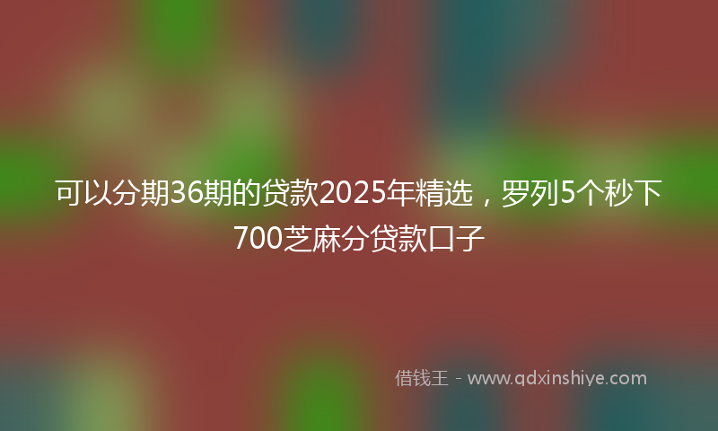 可以分期36期的贷款2025年精选，罗列5个秒下700芝麻分贷款口子
