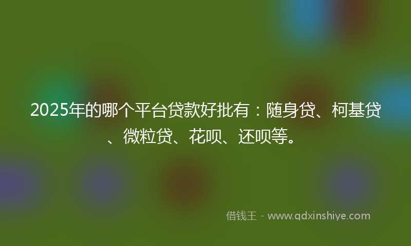2025年的哪个平台贷款好批有：随身贷、柯基贷、微粒贷、花呗、还呗等。