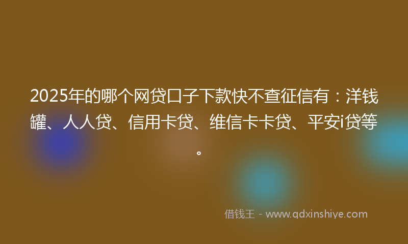 2025年的哪个网贷口子下款快不查征信有：洋钱罐、人人贷、信用卡贷、维信卡卡贷、平安i贷等。