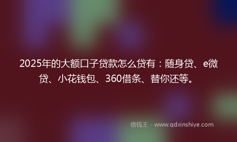 2025年的大额口子贷款怎么贷有：随身贷、e微贷、小花钱包、360借条、替你还等。