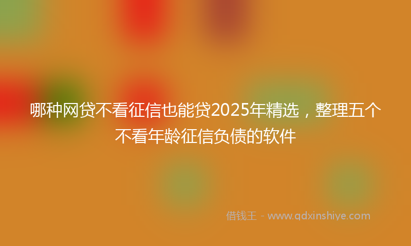 哪种网贷不看征信也能贷2025年精选，整理五个不看年龄征信负债的软件