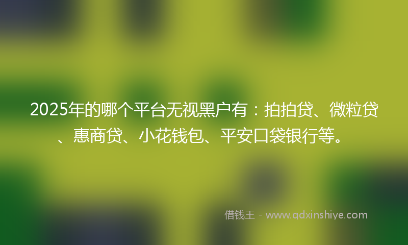 2025年的哪个平台无视黑户有：拍拍贷、微粒贷、惠商贷、小花钱包、平安口袋银行等。