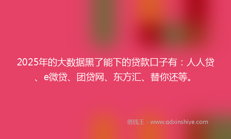 2025年的大数据黑了能下的贷款口子有：人人贷、e微贷、团贷网、东方汇、替你还等。