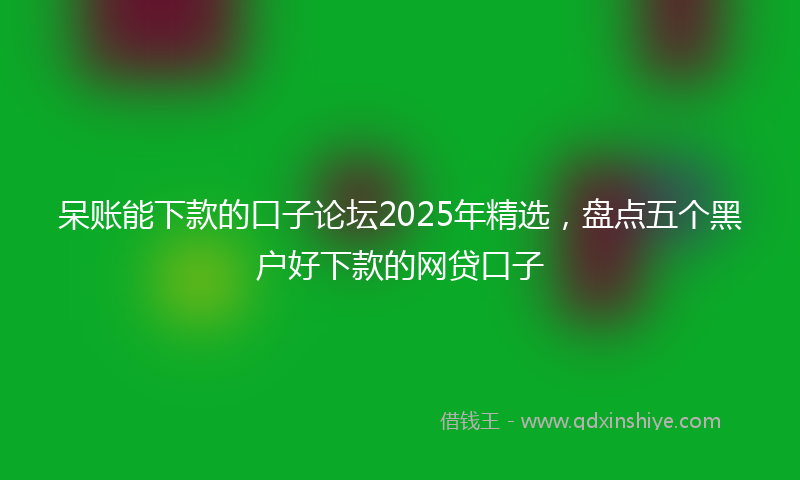 呆账能下款的口子论坛2025年精选，盘点五个黑户好下款的网贷口子