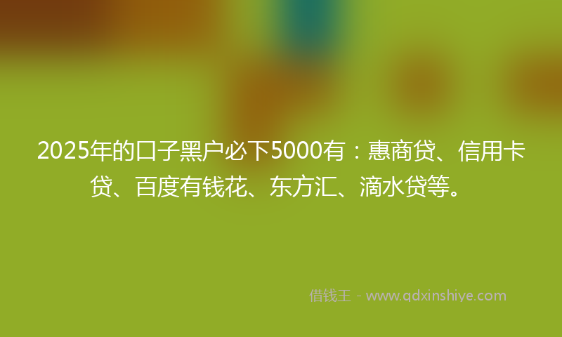 2025年的口子黑户必下5000有：惠商贷、信用卡贷、百度有钱花、东方汇、滴水贷等。