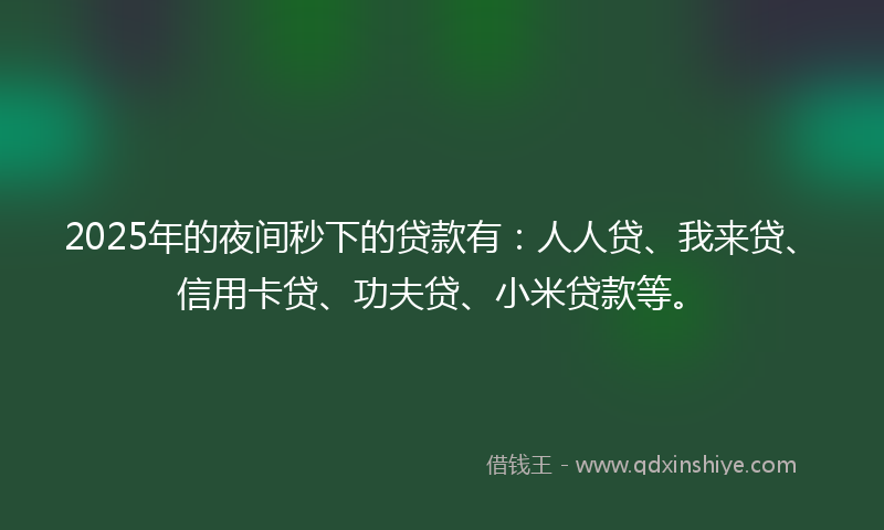 2025年的夜间秒下的贷款有：人人贷、我来贷、信用卡贷、功夫贷、小米贷款等。