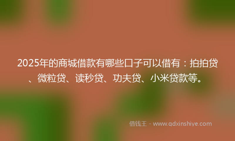 2025年的商城借款有哪些口子可以借有：拍拍贷、微粒贷、读秒贷、功夫贷、小米贷款等。
