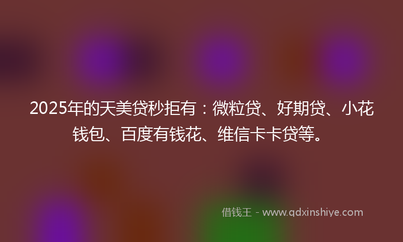 2025年的天美贷秒拒有：微粒贷、好期贷、小花钱包、百度有钱花、维信卡卡贷等。