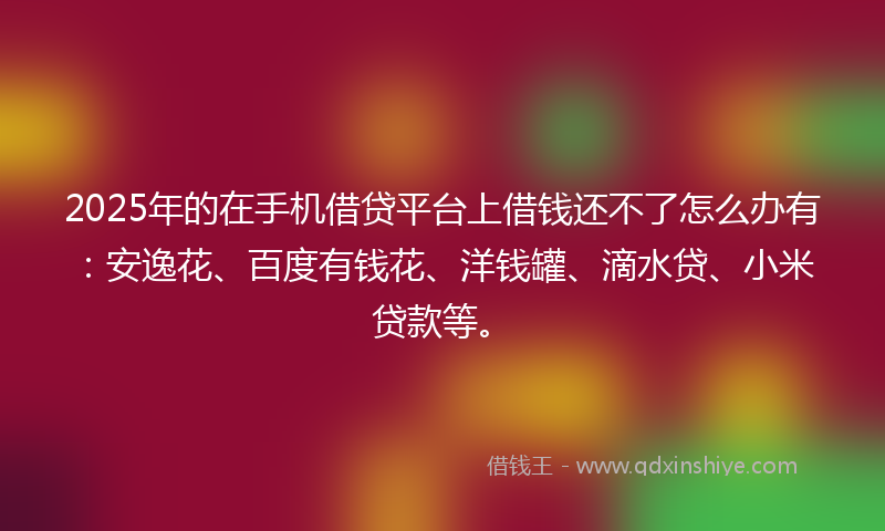 2025年的在手机借贷平台上借钱还不了怎么办有：安逸花、百度有钱花、洋钱罐、滴水贷、小米贷款等。