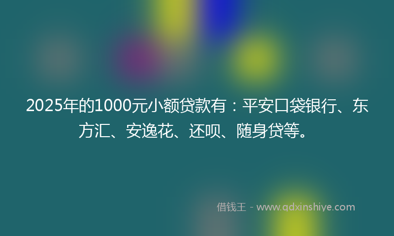 2025年的1000元小额贷款有：平安口袋银行、东方汇、安逸花、还呗、随身贷等。