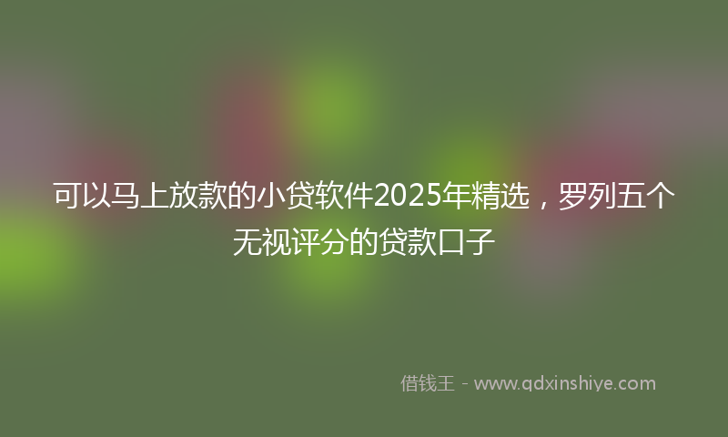 可以马上放款的小贷软件2025年精选，罗列五个无视评分的贷款口子