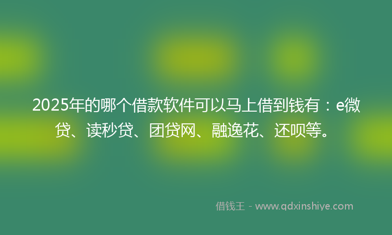 2025年的哪个借款软件可以马上借到钱有：e微贷、读秒贷、团贷网、融逸花、还呗等。