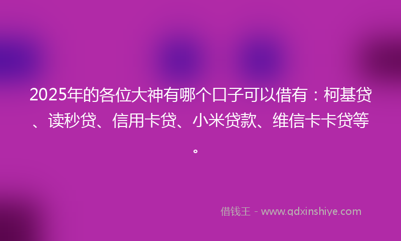 2025年的各位大神有哪个口子可以借有：柯基贷、读秒贷、信用卡贷、小米贷款、维信卡卡贷等。