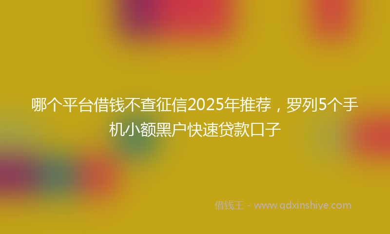 哪个平台借钱不查征信2025年推荐，罗列5个手机小额黑户快速贷款口子