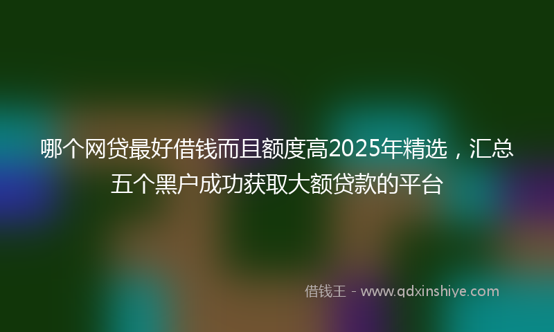 哪个网贷最好借钱而且额度高2025年精选，汇总五个黑户成功获取大额贷款的平台
