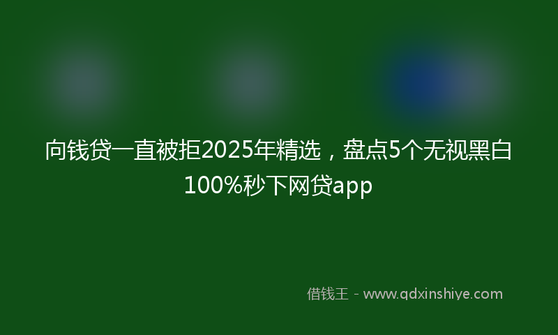 向钱贷一直被拒2025年精选，盘点5个无视黑白100%秒下网贷app