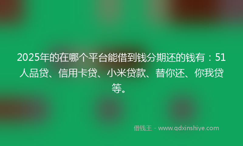 2025年的在哪个平台能借到钱分期还的钱有：51人品贷、信用卡贷、小米贷款、替你还、你我贷等。