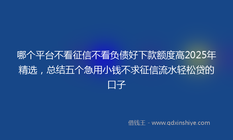 哪个平台不看征信不看负债好下款额度高2025年精选，总结五个急用小钱不求征信流水轻松贷的口子
