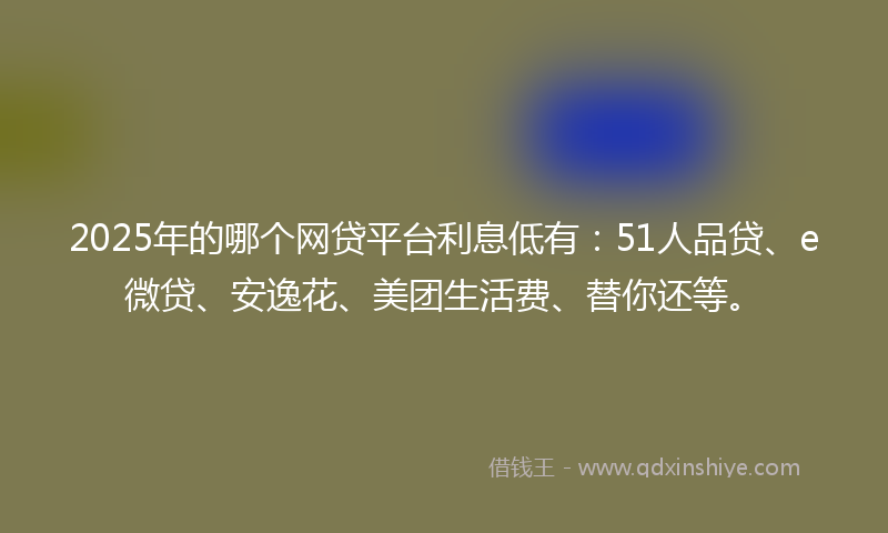 2025年的哪个网贷平台利息低有：51人品贷、e微贷、安逸花、美团生活费、替你还等。