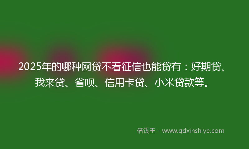 2025年的哪种网贷不看征信也能贷有：好期贷、我来贷、省呗、信用卡贷、小米贷款等。