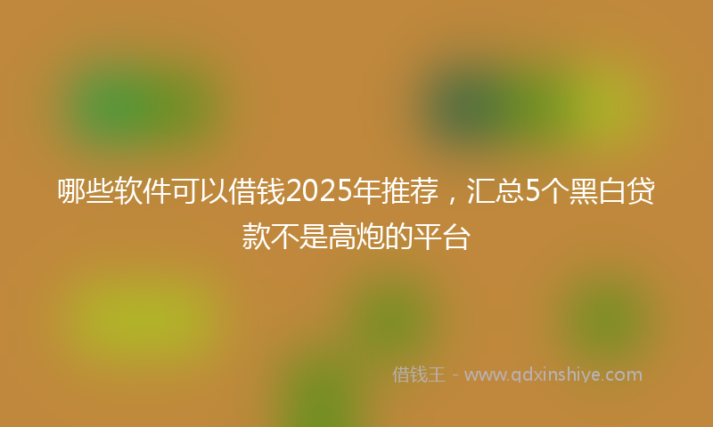 哪些软件可以借钱2025年推荐，汇总5个黑白贷款不是高炮的平台