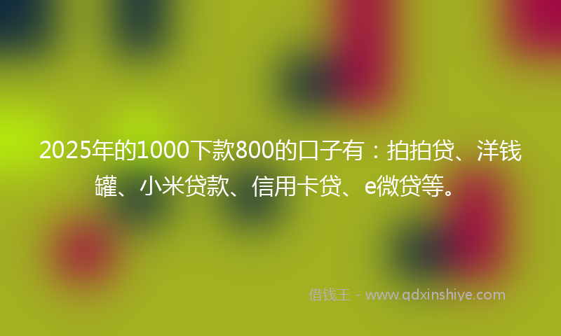 2025年的1000下款800的口子有：拍拍贷、洋钱罐、小米贷款、信用卡贷、e微贷等。