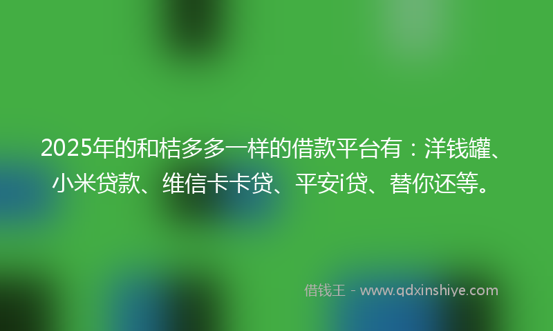2025年的和桔多多一样的借款平台有：洋钱罐、小米贷款、维信卡卡贷、平安i贷、替你还等。