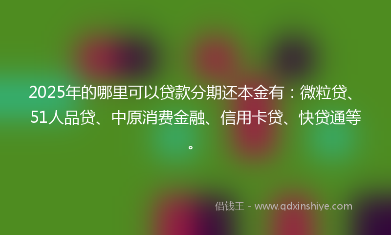 2025年的哪里可以贷款分期还本金有：微粒贷、51人品贷、中原消费金融、信用卡贷、快贷通等。