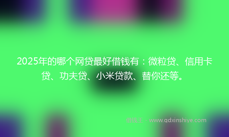 2025年的哪个网贷最好借钱有：微粒贷、信用卡贷、功夫贷、小米贷款、替你还等。