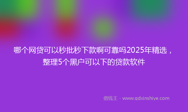 哪个网贷可以秒批秒下款啊可靠吗2025年精选，整理5个黑户可以下的贷款软件