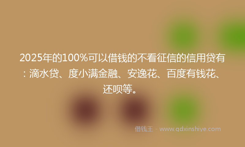 2025年的100%可以借钱的不看征信的信用贷有：滴水贷、度小满金融、安逸花、百度有钱花、还呗等。