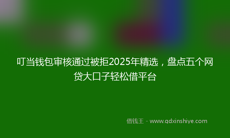 叮当钱包审核通过被拒2025年精选，盘点五个网贷大口子轻松借平台