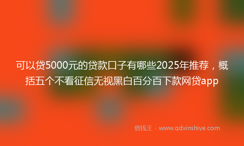 可以贷5000元的贷款口子有哪些2025年推荐，概括五个不看征信无视黑白百分百下款网贷app