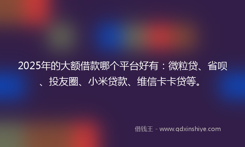 2025年的大额借款哪个平台好有：微粒贷、省呗、投友圈、小米贷款、维信卡卡贷等。