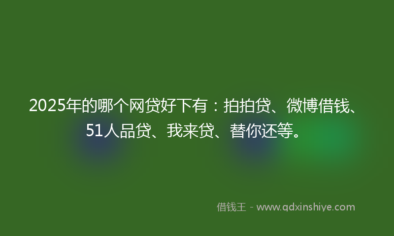 2025年的哪个网贷好下有：拍拍贷、微博借钱、51人品贷、我来贷、替你还等。