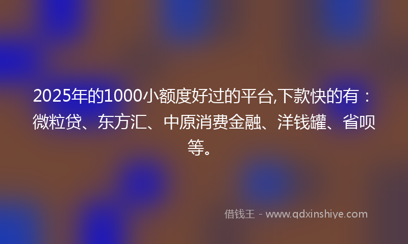 2025年的1000小额度好过的平台,下款快的有：微粒贷、东方汇、中原消费金融、洋钱罐、省呗等。