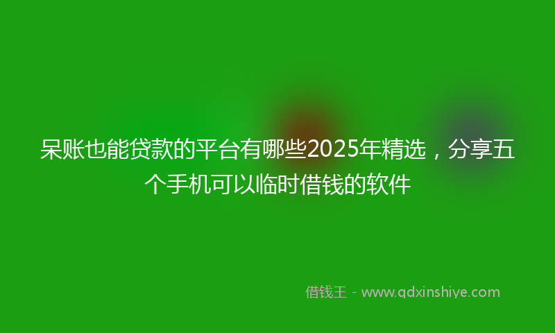 呆账也能贷款的平台有哪些2025年精选，分享五个手机可以临时借钱的软件
