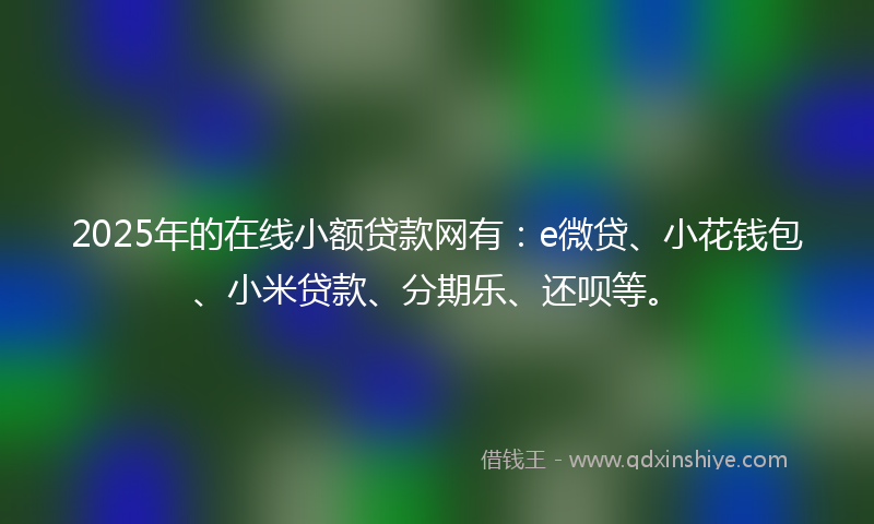 2025年的在线小额贷款网有：e微贷、小花钱包、小米贷款、分期乐、还呗等。