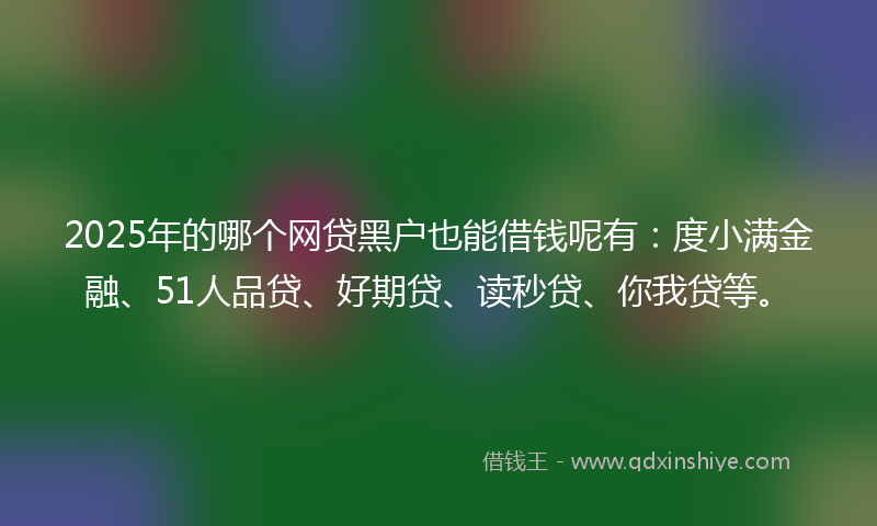 2025年的哪个网贷黑户也能借钱呢有：度小满金融、51人品贷、好期贷、读秒贷、你我贷等。