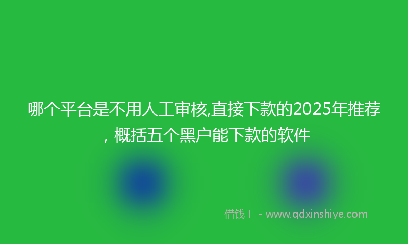 哪个平台是不用人工审核,直接下款的2025年推荐，概括五个黑户能下款的软件