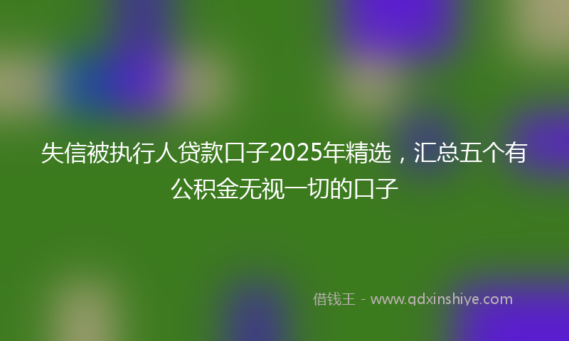 失信被执行人贷款口子2025年精选，汇总五个有公积金无视一切的口子