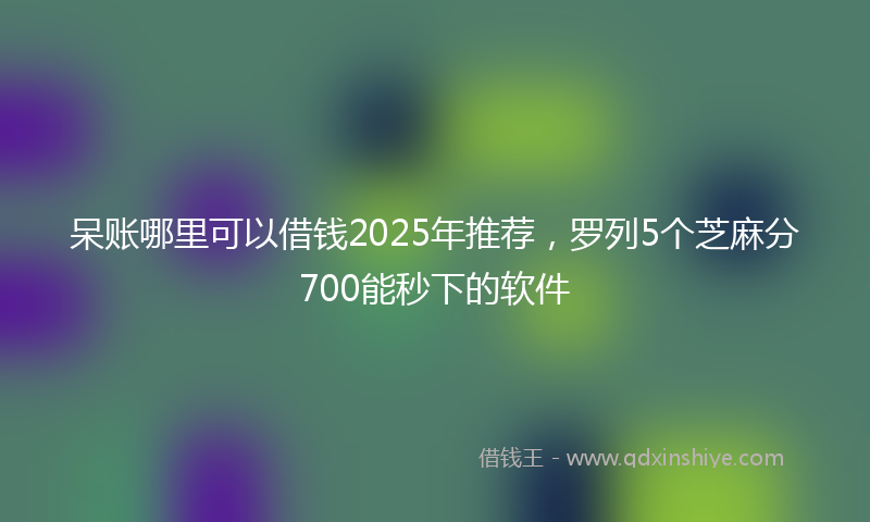 呆账哪里可以借钱2025年推荐，罗列5个芝麻分700能秒下的软件