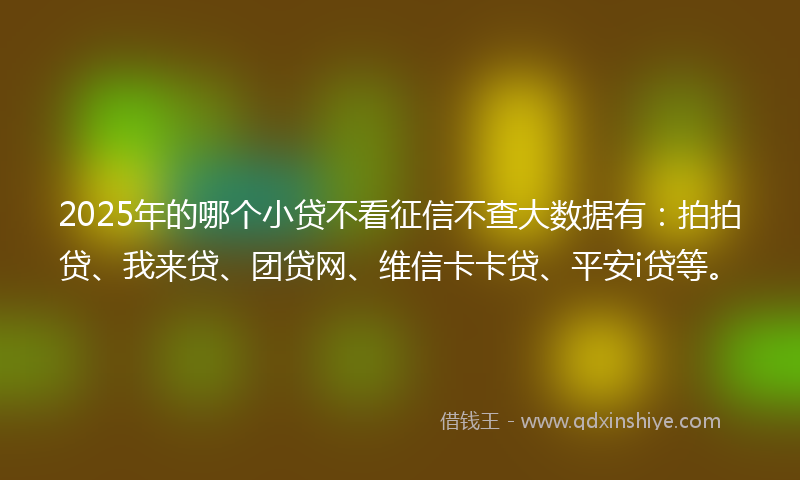 2025年的哪个小贷不看征信不查大数据有：拍拍贷、我来贷、团贷网、维信卡卡贷、平安i贷等。